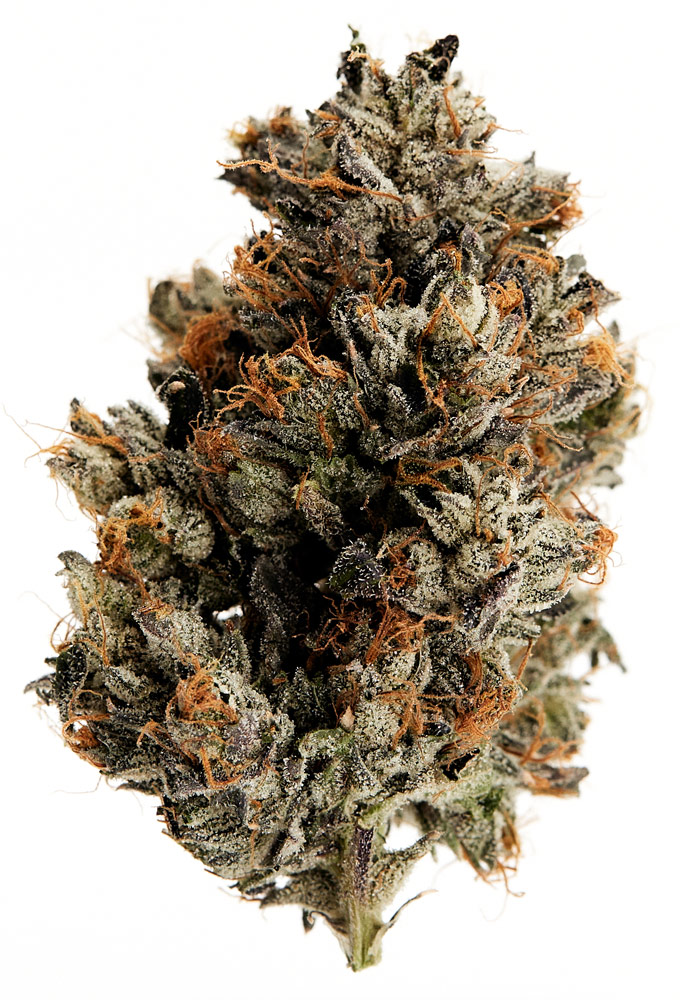 BC Cannabis - Marijuana - Pink Mountain -